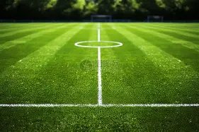 黄蜂惨败开,拓者,攻守兼备,世界杯下注,2026世界杯,下注技巧,最佳平台,投注策略