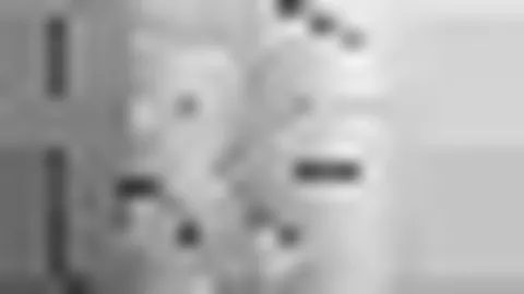 印尼羽毛球公开赛：何冰娇憾负安洗莹，国羽混双目标双金